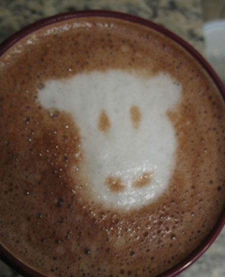 Foam Cow