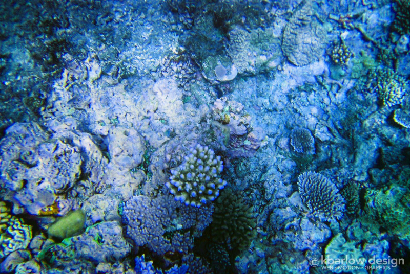 Great Barrier Reef, Cairns
