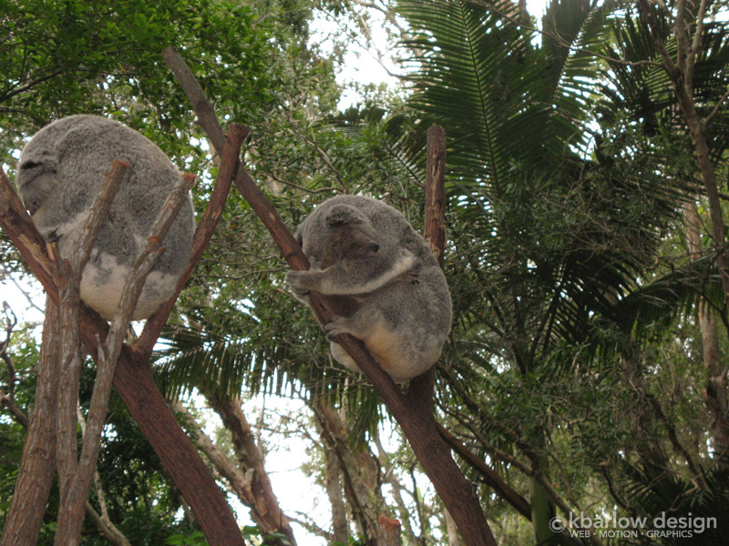 Currumbin Wildlife Sanctuary, Australia