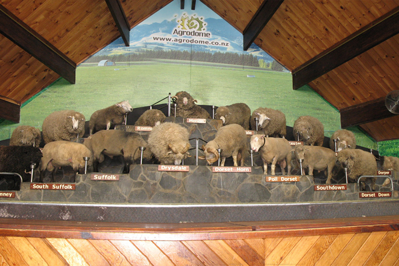 Agrodome, New Zealand